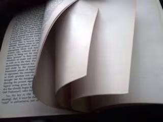 Book Editing / Storytelling Analysis / Film Production