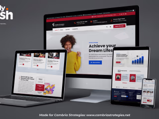 Credit Repair Website