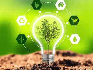 Essay on Environmental Sustainability