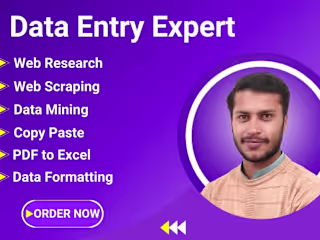 I will do excel data entry, contact list ,data collection, copy 