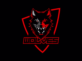 Personal project : Esports Logo