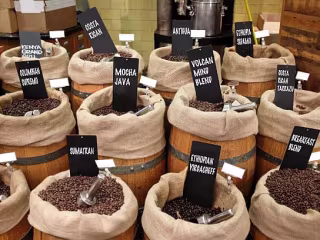 Market Research on Coffee Business