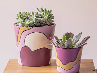 These Black-Owned Plant Companies Will Keep Your Apartment Look…