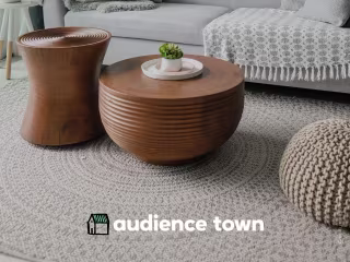 Audience Town