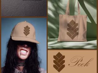 Peek LOGO Designs