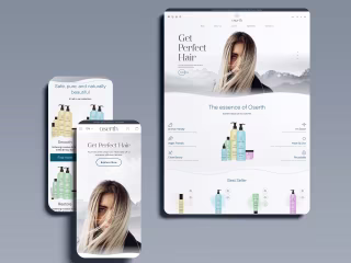 Ecommerce