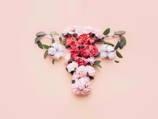 Hysterectomy - What to expect