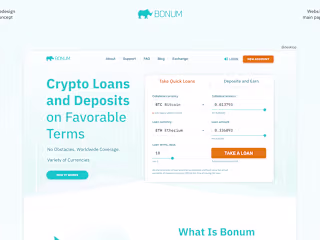 Bonum Web Redesign Concept