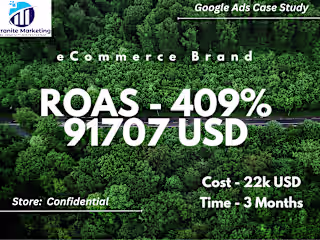 Google eCommerce Strategy (4x ROAS)