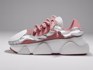 3D Sneakers/Shoe Design