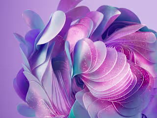 Form and Color Research