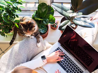 Executive Workflow Optimization