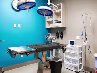 Web Scraping United States Vet Clinics