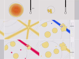 Animation Sequences for MANIP Documentary