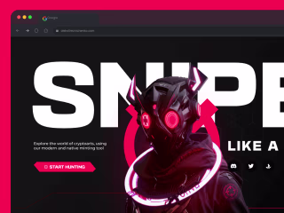 Meta Snipers