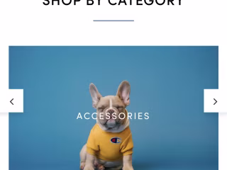 Shopify Store Designer