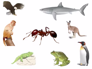 Vector Illustration. College Biology Courses.