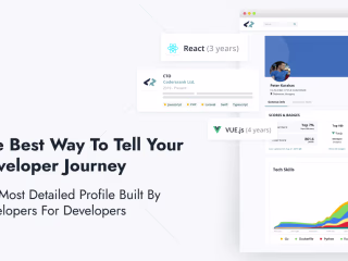 The Ultimate Developer Profile - CodersRank