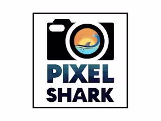 Logo Design for PIXEL SHARK