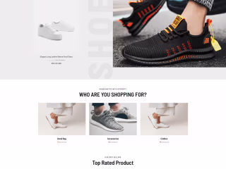 Shopify Store Design Projects