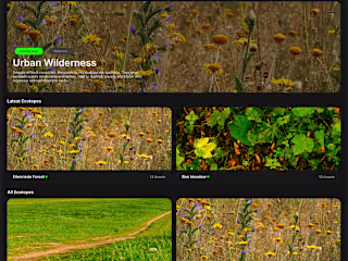 Data-Driven Web App Redesign