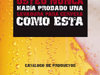 Professional English to Spanish Marketing Translation