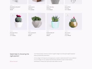E-Commerce Web Design (Simply Natural)