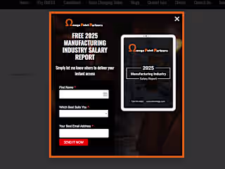 OMEGa Point Partners Website design