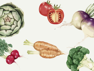 Naturopathy, Holistic Medicine, and Healthy Eating: A Holistic A