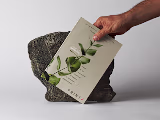 Sustainability Progress Report