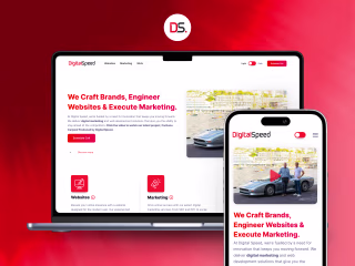 DS: Agency Website