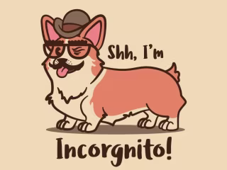 Incorgnito