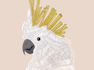 Custom Digital Illustration