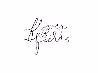 Flower Fields
