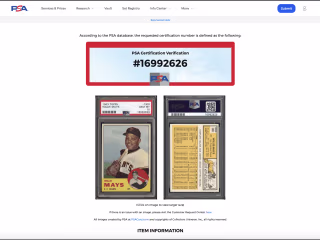 Trading Card Scraper (API to Excel)