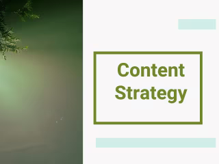 Content Creation Strategy for an NGO