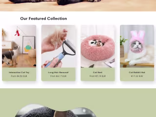 Shopify Store