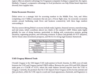Report on UAE-Uruguay Business Synergies 