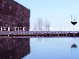 Algodon Wine (Corporative Video)