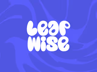LeapWise brand identity