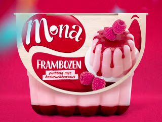 Mona Rebranding