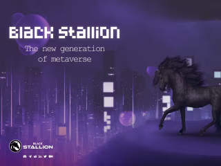 Black Stallion