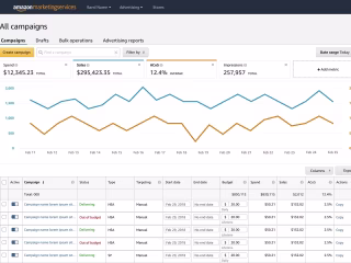 Amazon PPC Campaign 