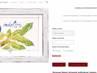 jacquespepinart.com