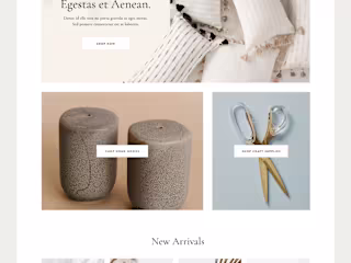 LoneFox Custom E-commerce Design