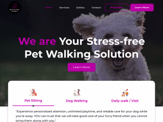 UI / UX Design 