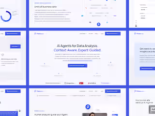 Petavue • Transforming AI-Driven Data Analytics