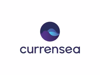 Currensea Explainer Video Storyboard