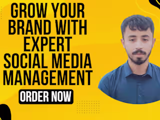 Social Media Content and Strategy Services