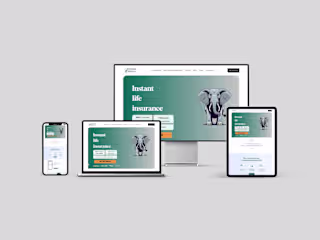 EliLife - Wix Website Design